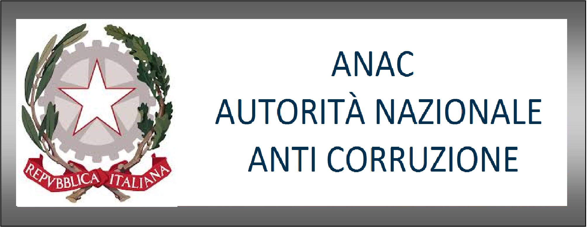 logo anac