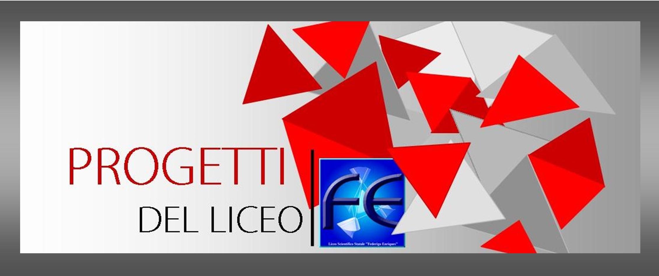 Progetti
